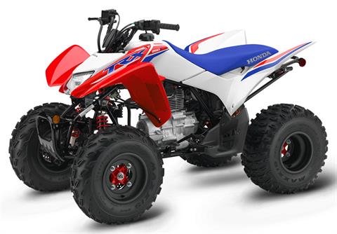 Honda TRX250X